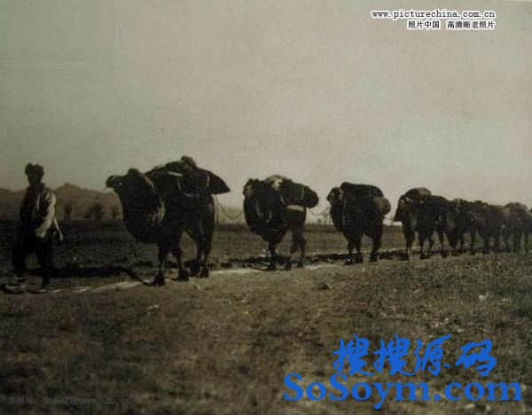 ��������Ĳ�ɣ����Ƭ